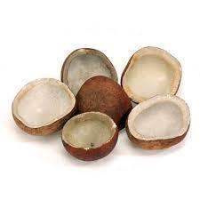 Common Shell Dried Coconut Copra