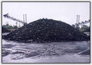 Steam Non-Coking Coal
