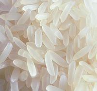 Organic Fresh Raw White Rice