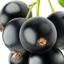 Black Blackcurrant Flavour Juicy Grapes