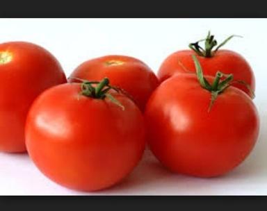 High Grade Hybrid Tomato