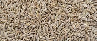 Superior Grade Cumin Seed