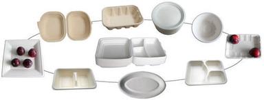 High Quality Disposable Paper Plate