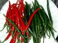 Top Quality Red Chillies