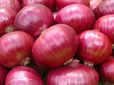 Fresh and Healthy Red Onion