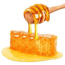 Fresh Raw Organic Honey