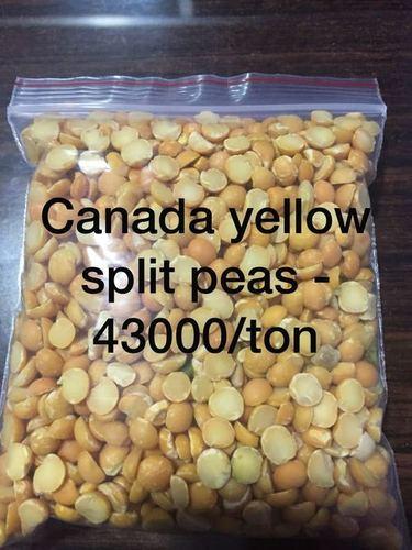 Canada Yellow Split Peas