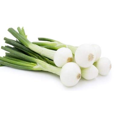 Fresh Green Spring Onion