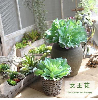 Green Artificial Succulent Plants (Green Color)