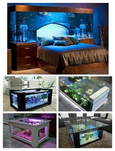Aquarium Bed And Table