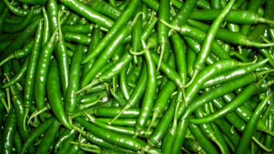 Tasty Spicy Green Chillies
