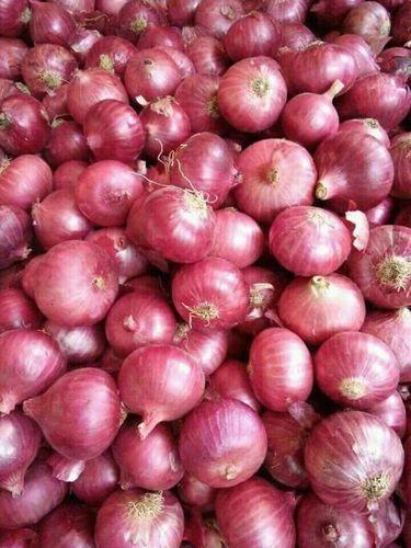 Organic Fresh Red Onion Back Material: Anti-Slip Latex