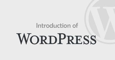 WordPress Tutorial Service