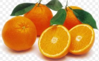 Rich Taste Fresh Oranges