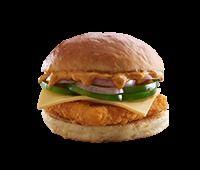 Tandoori Paneer Cheese Burger Application: Profesional