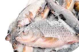 Frozen Fish