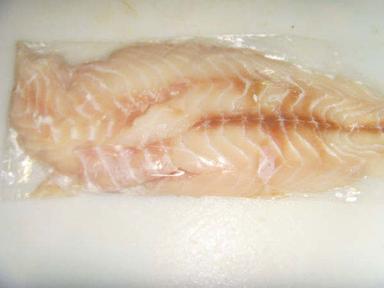 Frozen Snook Fish Fillet