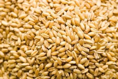 Brown Healthy Natural Wheat Grain