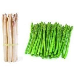 Organically Grown Imported Asparagus