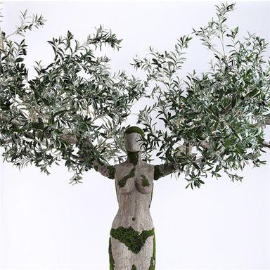 Artificial Silk Olive Plant