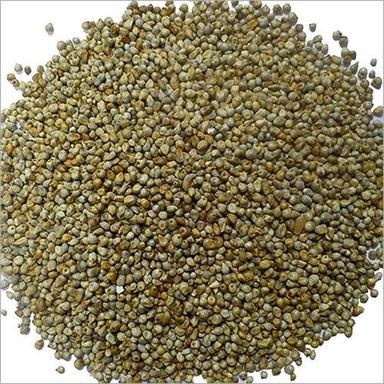 Green Millet (Bajra) Seed