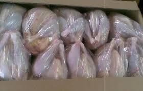 Halal Whole Frozen Chicken Meat