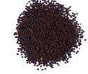 Black Brown Mustard Seeds