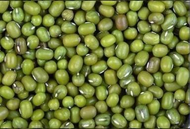 Crystalline Silicon Mung Bean Seeds