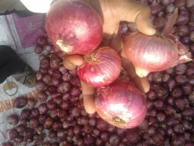 Organic Fresh Pink Onion
