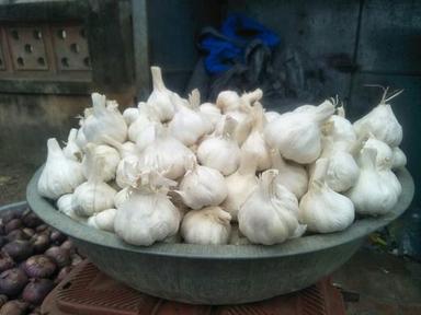 Farm Fresh Organic Bulb Garlic