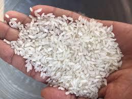 White High Grade Long Grain Rice