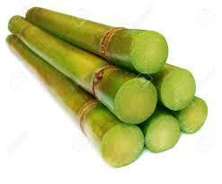 Organic Natural Fresh Sugarcane