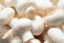 Fresh Organic White Mushroom