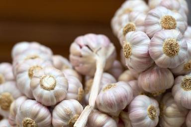 Organic Farm Fresh Garlic