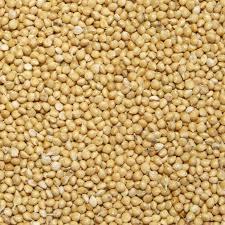 Low Price Yellow Millet