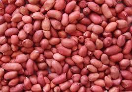 Fresh Redskin Peanuts