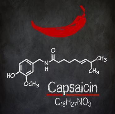 Natural Capsaicin Usp Grade Cas No: 404-86-4