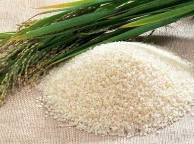 Fresh Rich Taste Basmati Rice