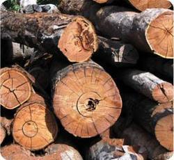Highly Durable Timber Logs