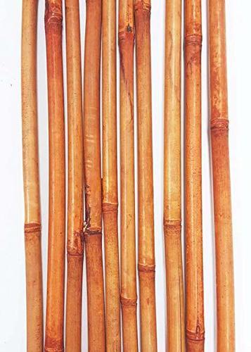 Bond Super Bamboo Pole Plant
