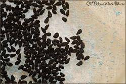 Aluminum Best Quality Tulsi Seeds