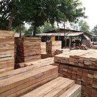 High Grade Neem Timber Wood