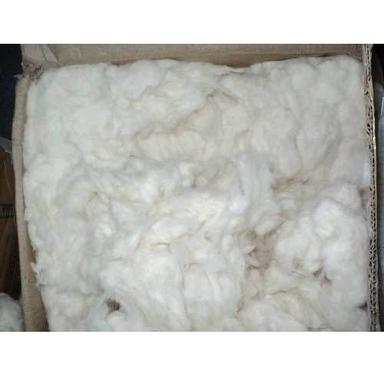 Cotton Comber Noil Waste