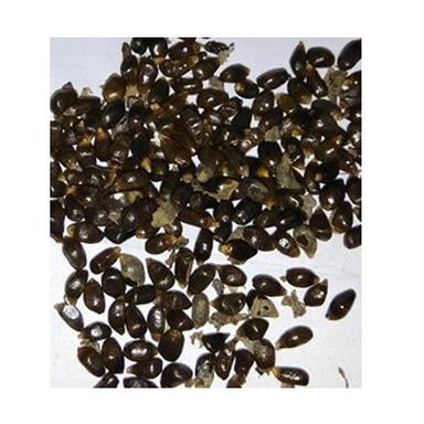 Dried Organic Tamarind Seeds