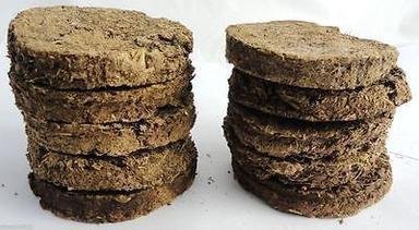 Golden Brown Color Cow Dung Cake
