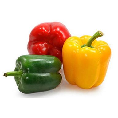 Fine Quality Fresh Bell Pepper