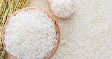 Organic Short Grain White Rice