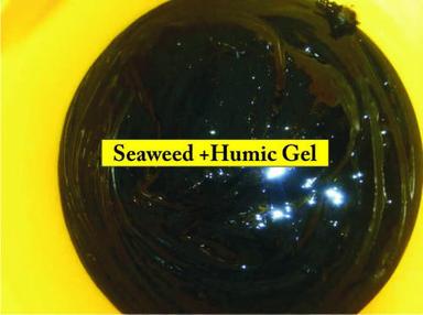 Water Soluble Humic Seaweed Gel
