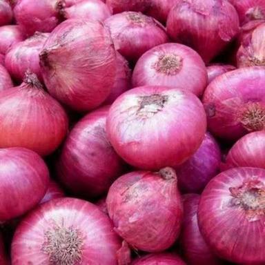 All Colors Available Farm Fresh Red Onions