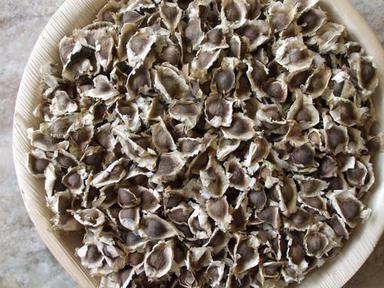 High Grade Moringa Seeds